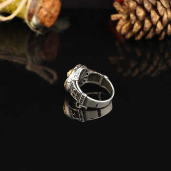 925K Sterling Silver Lion Ring,Lion Ring Men, Viking Ring Men - 2